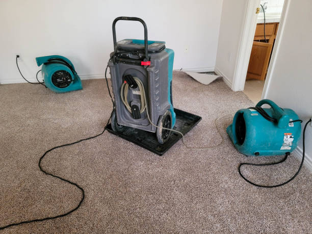 Best Flood damage cleanup  in Marysville, OH