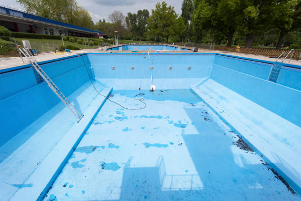 Best Mold removal after water damage  in Marysville, OH