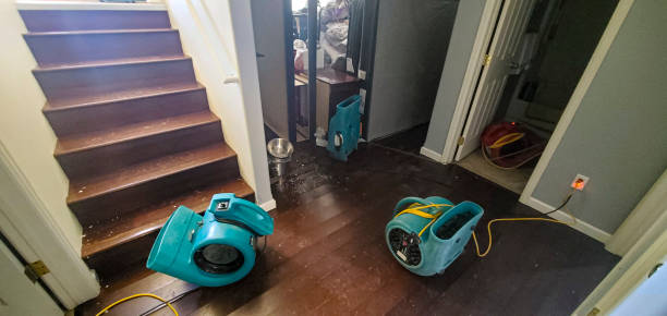 Best Local water damage restoration  in Marysville, OH