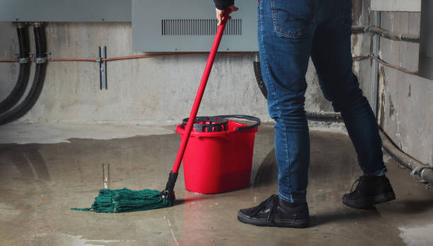 Best Ceiling water damage repair  in Marysville, OH