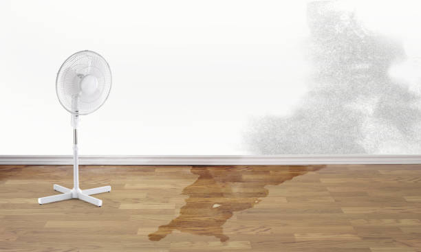 Best Sewage cleanup and water damage restoration  in Marysville, OH