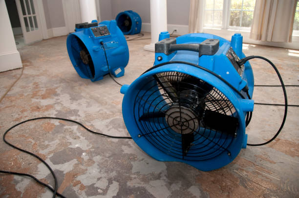 Best Water damage cleanup near me  in Marysville, OH
