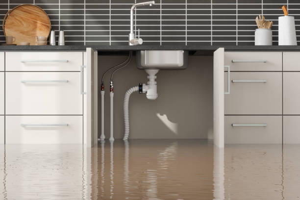 Best Carpet water damage restoration  in Marysville, OH