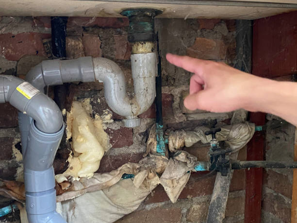 Best Water damage restoration insurance claims  in Marysville, OH